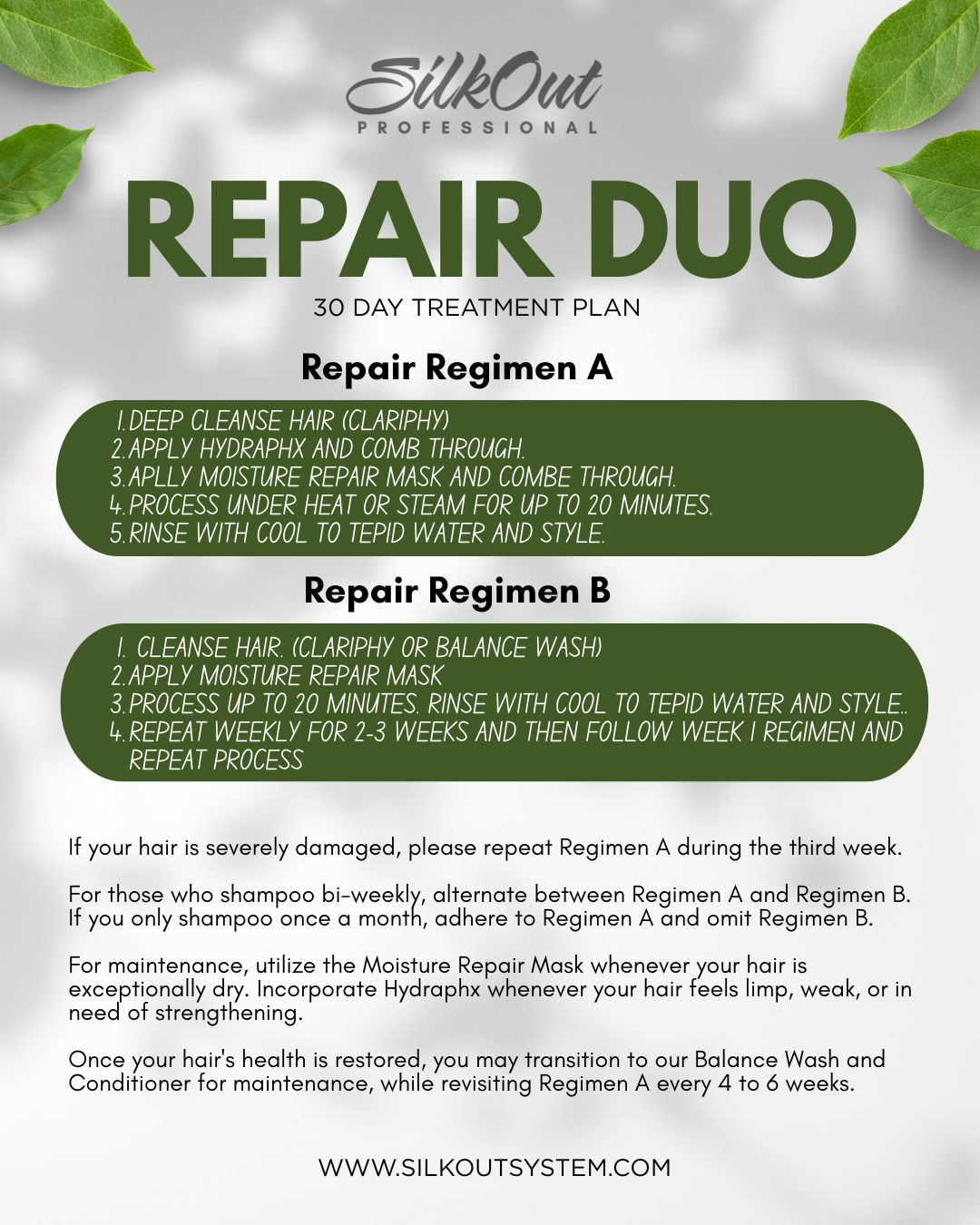 Repair Duo